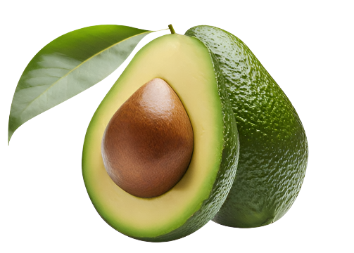 Avocado