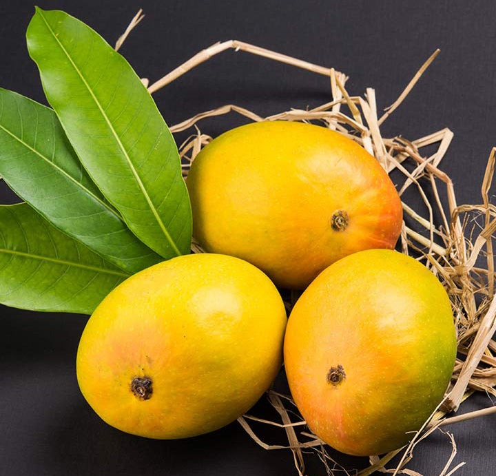 Mango Alphonso -2 Pieces (400g-500g)