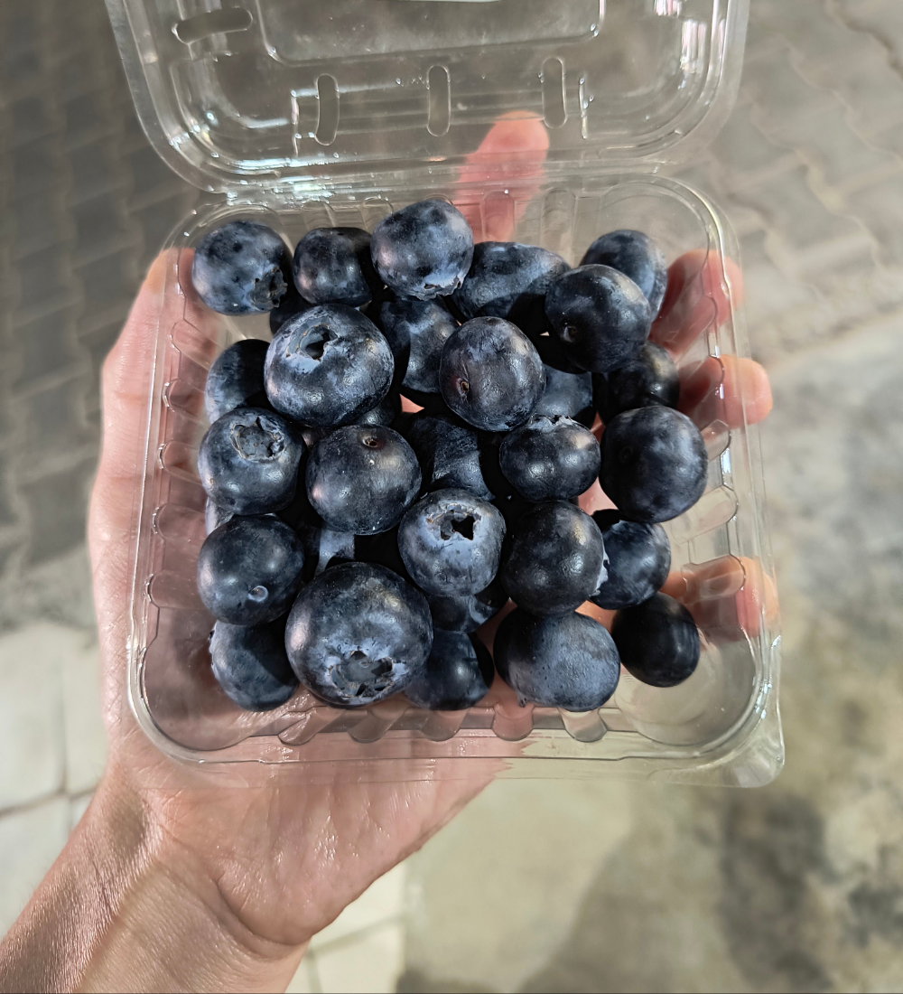Blueberry - Sweet & Jumbo