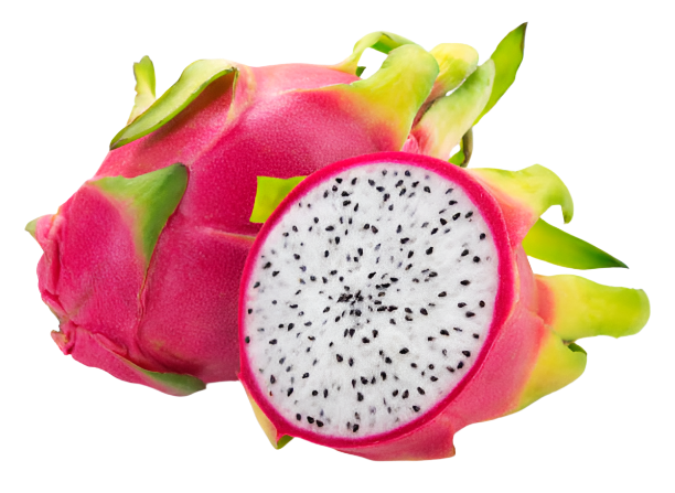 Dragon Fruit Jumbo Size
