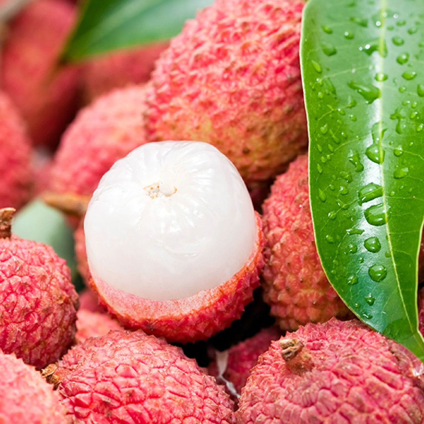 Litchi/Lychee (1000g)