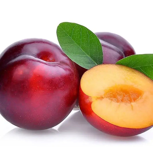 Plum Exotic (Iran) 500g