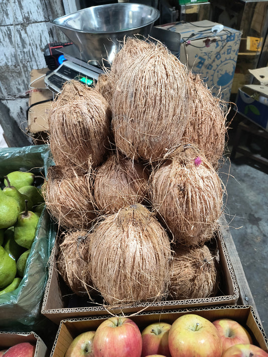 Coconut